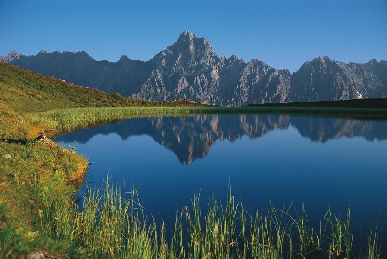 T3 Pension Wald Am Arlberg Dış mekan fotoğraf