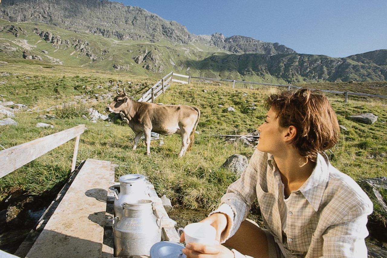 T3 Pension Wald Am Arlberg Dış mekan fotoğraf